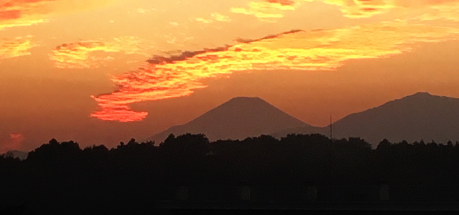 社屋から見える富士山